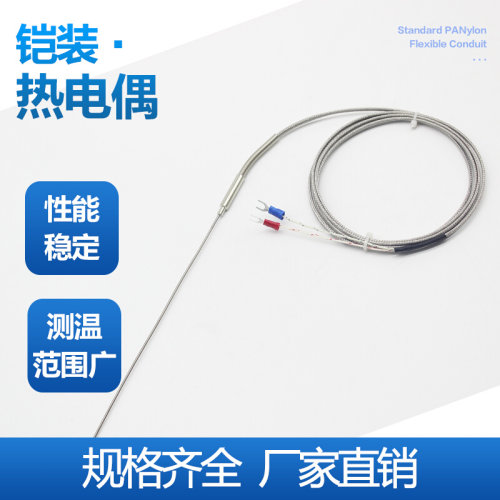 WRNK-191K型铠装热电偶 pt100温度传感器探针E型铠装耐高温不锈钢
