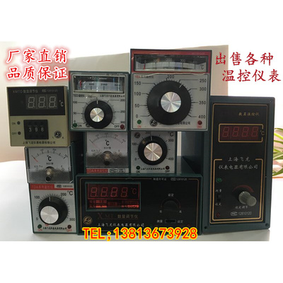 上海飞龙指针式温控表TED-2001 E型 0~400&deg;C温度控制仪表2301