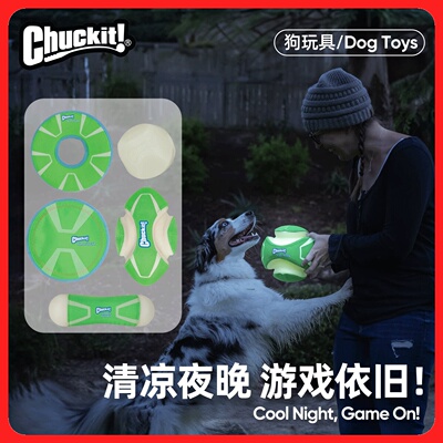 petmate夜光训练狗狗玩具