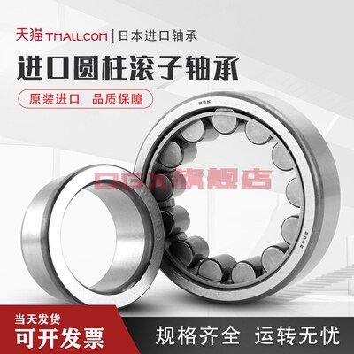 进口NSK圆柱滚子轴承 NU2305 2306 2307 2308 2309 2310 EW EM C3