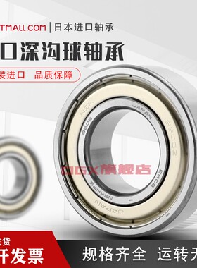 日本进口NSK 6018 6019 6020 6021 6022 6024 ZZ DDU VV C3NR轴承
