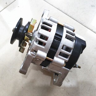 12v2000瓦W手摇发电机蓄电池电瓶汽车应急充电大功率14V24V28V伏