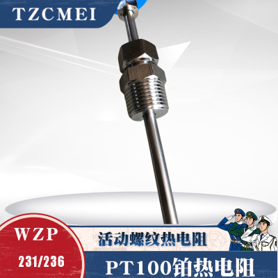 WZP236/231 PT100铂热电阻M16活动螺纹卡套PT100热电阻温度传感器