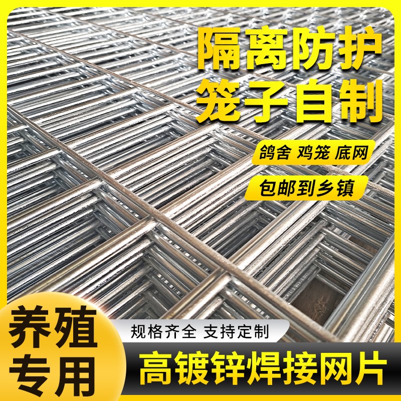 镀锌电焊网片建筑网格宠物狗笼养殖网鸽舍地网加粗铁丝网防护围栏