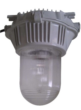 ZY8600防眩泛光灯150W  70W   100W