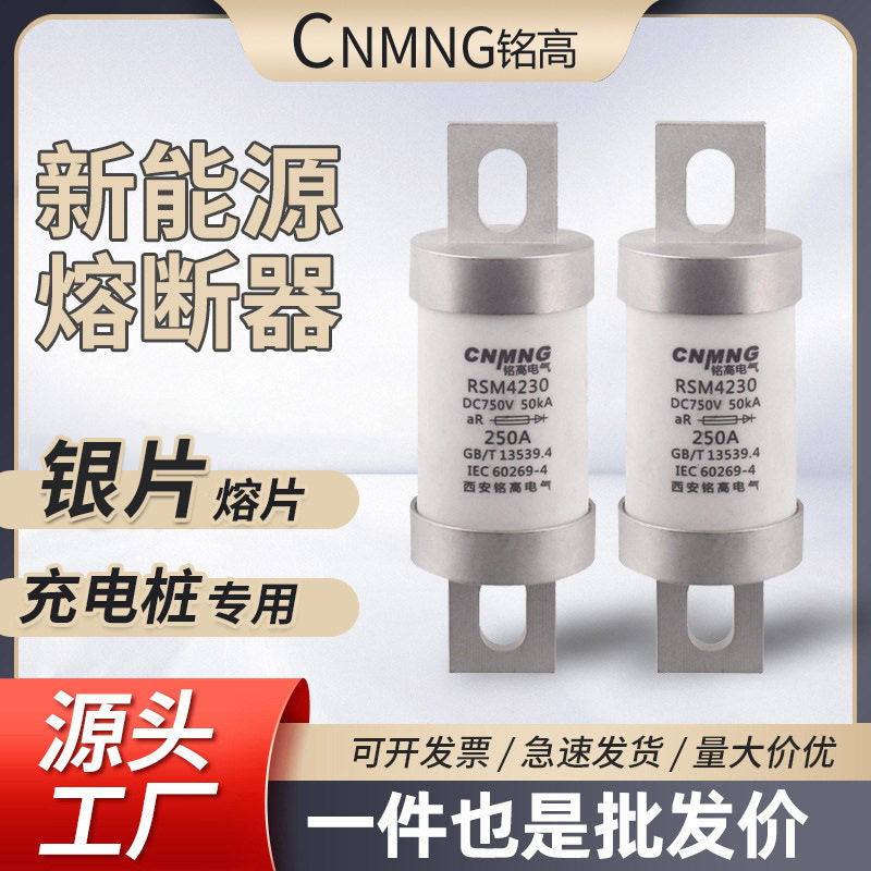 RSM直流熔断器充电桩用DC750V(RS309-MF新能源汽车熔断器250-400A