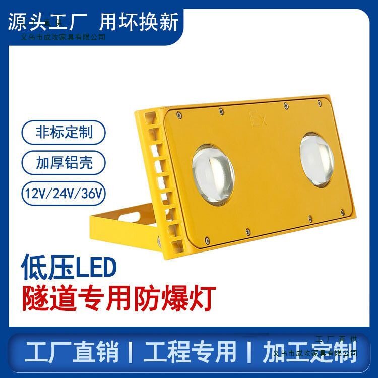 LED防爆投光灯低压36V/24V