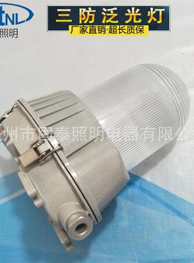 供应NFC9180-J150防水防尘防眩泛光灯150W金卤灯