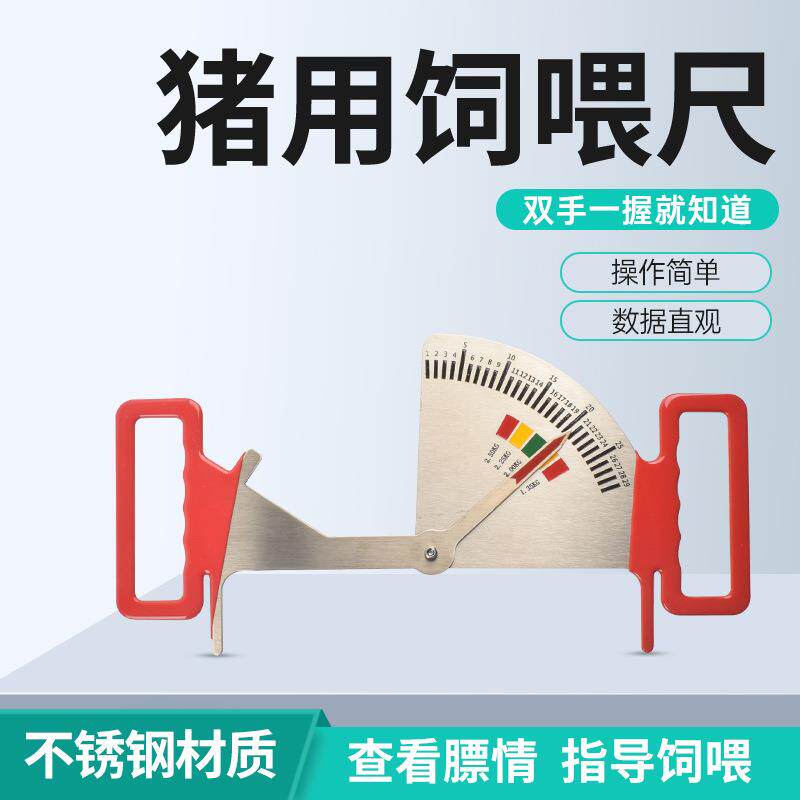 母猪背膘尺猪用不锈钢饲喂尺猪场测定喂料管理标尺膘情控制指导器