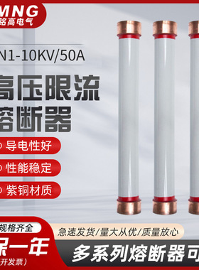 西安铭高RN1-10KV/50A双管户内高压限流熔断器RN3-10/100A70*460