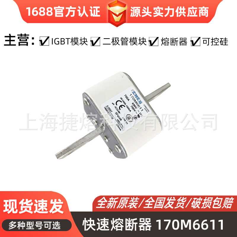 170M6611   170M6616 快速熔断器  保险丝 电子元器件 量大价优