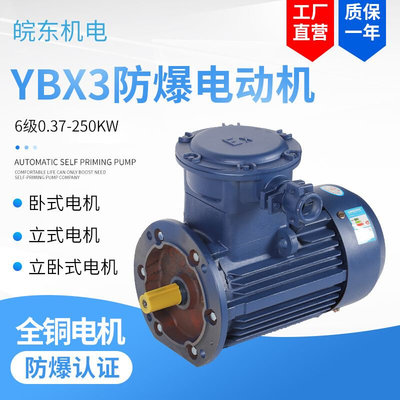 YBX3-6极0.37千瓦防爆电机0.55w0.75w1.1w1.5w高效率隔爆电机