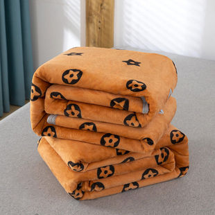 毛毯法兰绒多功能毯子加厚金貂绒水貂绒珊瑚绒礼盒装公主风