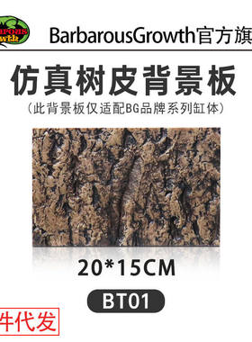 香槟木树皮 蜘蛛守宫蜥蜴躲避饲养箱造景树皮背景火玫瑰蜘蛛躲避