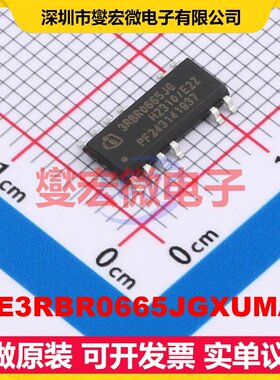 ICE3RBR0665JGXUMA1 SOIC-12 AC-DC电源稳压控制器芯片IC