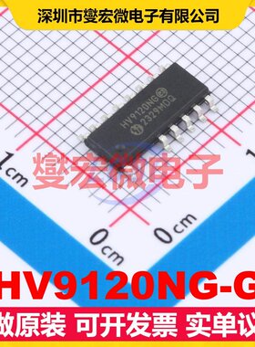 HV9120NG-G SOIC-16 DC-DC电源转换器芯片IC