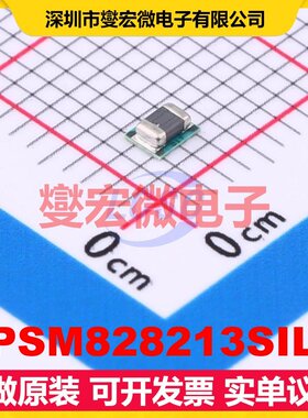 TPSM828213SILR TFDFN-10(2x2.5) DC-DC电源转换器芯片IC