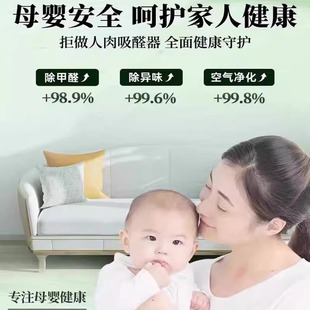 德国光触媒除甲醛神器新房急入住家用去异味新车吸甲醛喷雾清除剂