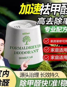 除甲醛神器新房急入住家用