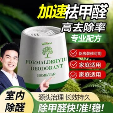 除甲醛神器新房急入住家用