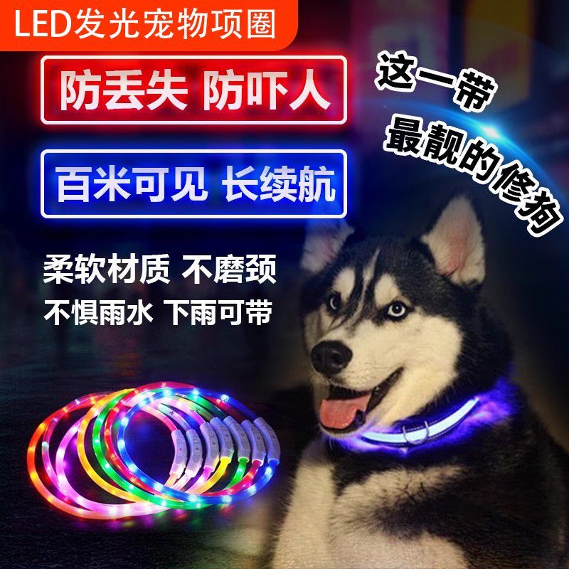 充电宠物夜光脖圈狗狗发光项圈夜间遛狗大小型犬防走失带灯项圈