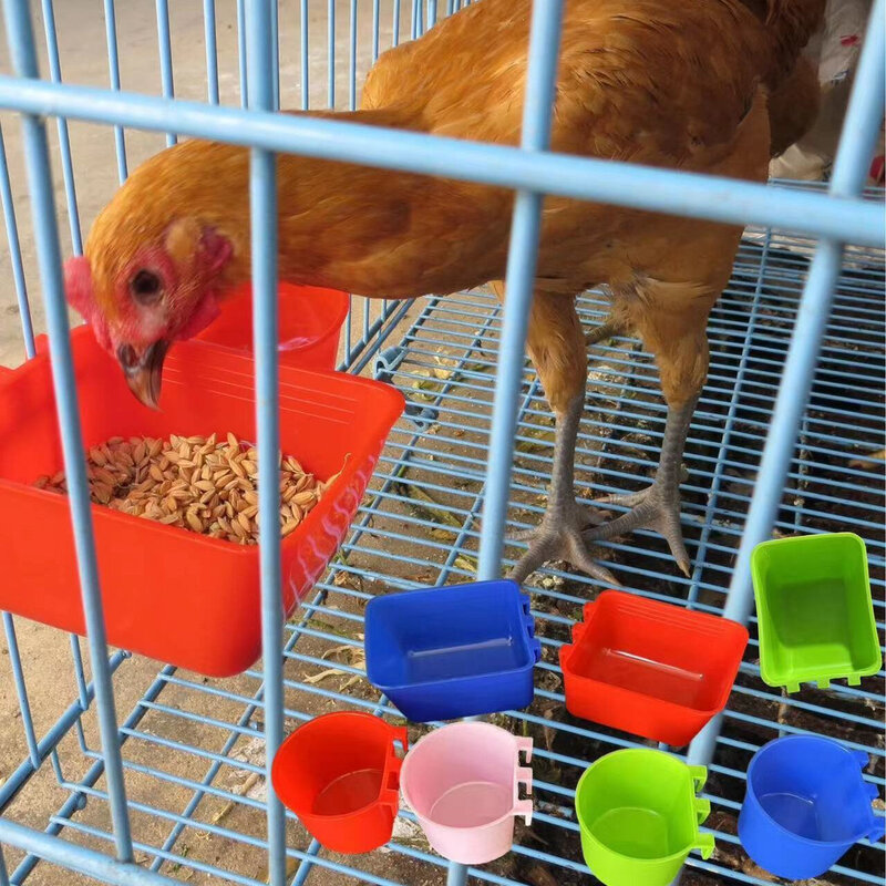 塑料小鸟食盒加厚聚乙烯料斗悬挂喂食保健砂鸟类喂养盒