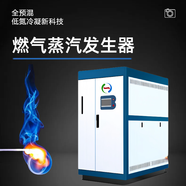 燃气 锅炉 蒸汽发生器 商用 节能环保  澡堂热水酿酒食用菌灭菌
