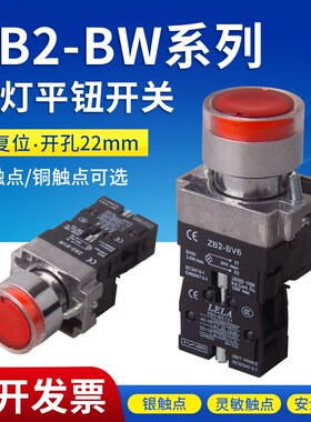 带灯平头按钮开关 XB2-BW31M1C AC220V ZB2-BE101C 一常开 一常闭