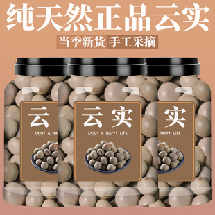 云实子中药材大托叶芸石籽马豆朝天子甲木哲陨石籽云石子非野生