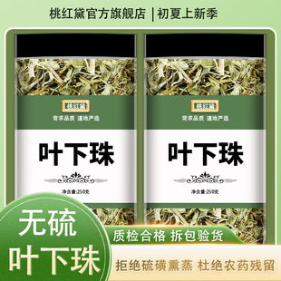 叶下珠中药野生500克叶下珠茶珍珠草龙珠草鱼鳞草夜合草中草药茶