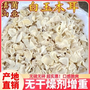 白玉木耳菌干货100克 兔耳菌白木耳银耳非黑木耳非特级竹耳菌 包邮