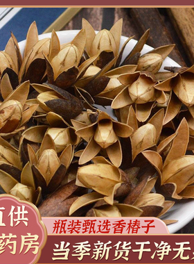 香椿子中药材野生500克正品香铃子香椿籽 香椿子香春铃香椿树果实