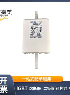 170M5147 170M5148 快速熔断器  保险丝 电子元器件 量大价优