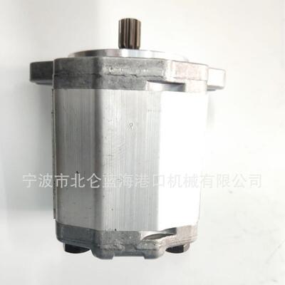 销售林德CVS科尼三一卡尔玛正面吊堆高机用刹车泵54113756