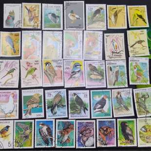 外国邮票专题邮票外国鸟类盖销邮票100枚不同飞禽类邮票收藏真票