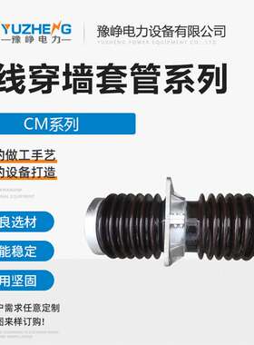 高压母线穿墙套管CMW-24-180 CMW-20-180 CMW-24-330 CMWW-24-180