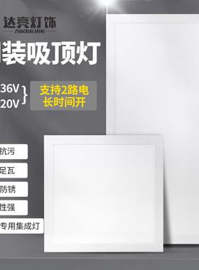 交直流LED两用电压A/DC12V24V36V和220V30X60方形吸顶灯平板灯