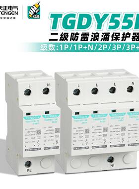 天正电气TGDY55II防雷避雷器2P4P204060KA二级电涌浪涌保护器开关