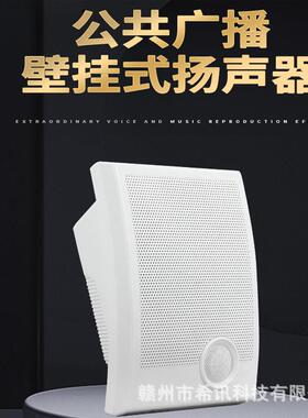 公共广播校园广播背景音乐系统10W壁挂扬声器教室壁挂音箱HSE-115
