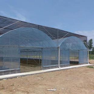温室大棚骨架钢管养殖种植家用全套猪鸡舍钢架连栋配件简易蔬菜棚
