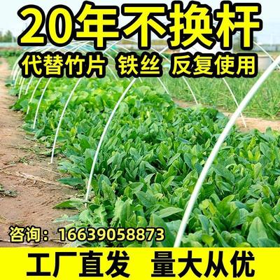 玻璃纤维拱棚支架圆棒塑料大棚拱形防冻防晒网弯曲弹力棒温室架杆