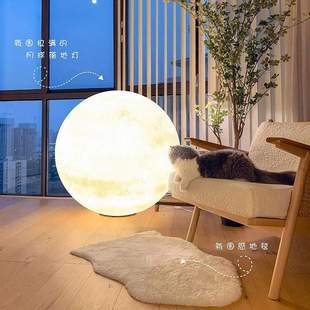 大观园月球灯落地灯台灯客厅卧室床头灯氛围灯别墅庭院过道灯378L