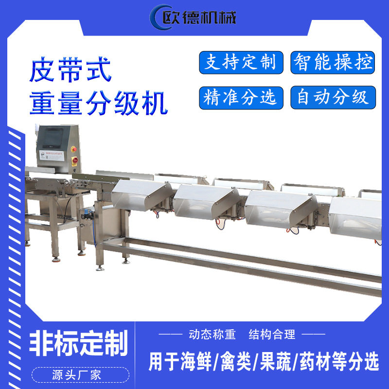 马口鱼重量分拣机重量分级机 皮带式自动分选称 鱼虾海鲜称重分拣,清洗/食品/商业设备,选果机/分选机,淘宝优惠券,粉丝福利购,淘宝优惠卷
