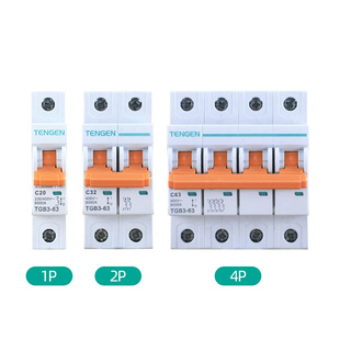 125空气开关小型断路器1P2P3P4P电闸20A32A6 TENGEN天正TGB3
