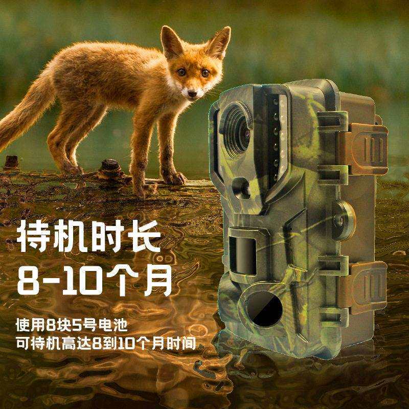 博仕航BSH2000G清红外感应相机触发动物户外成像监控拍摄