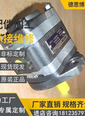 德国VOITH福伊特液压泵液压总成齿轮泵 IPV7-125-101液压配件