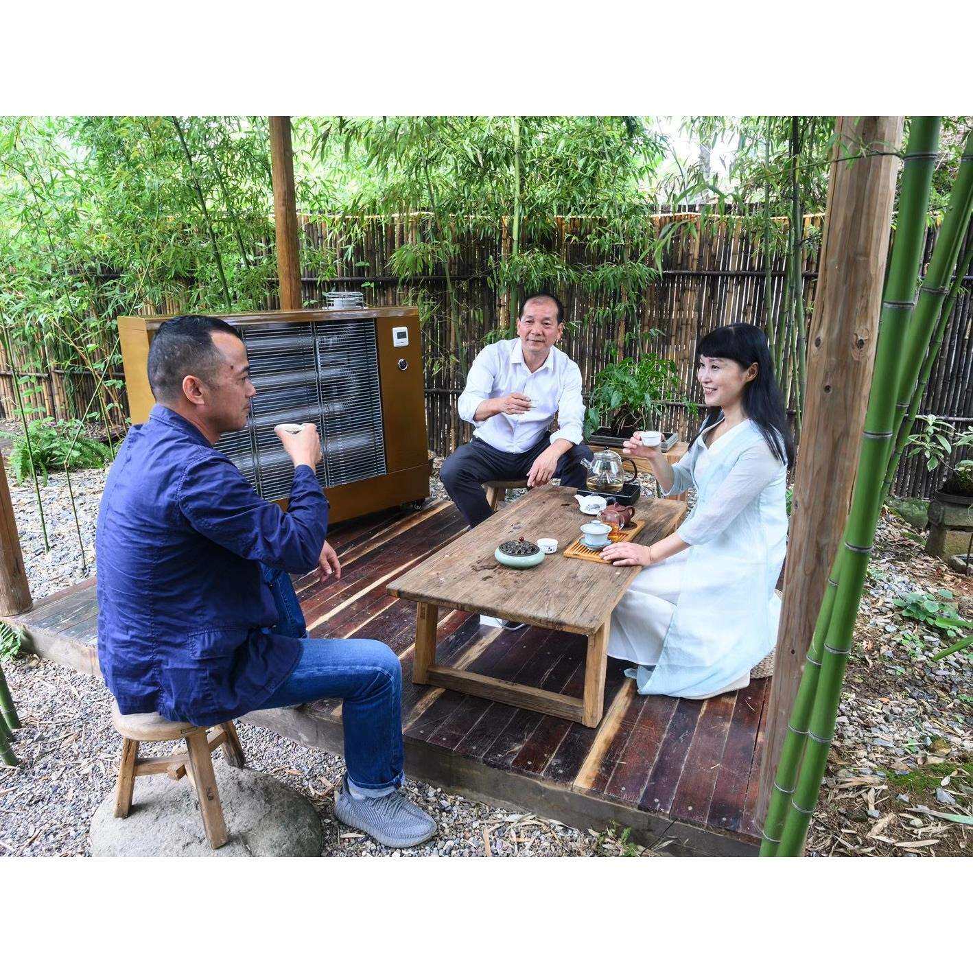 厂家直发远红外加热器商场食堂休息室超市柴油燃油取暖器节能电热