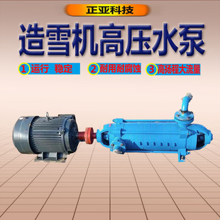 厂家直供卧式高压多级高压水泵造雪机多级增压水泵D12-25X10