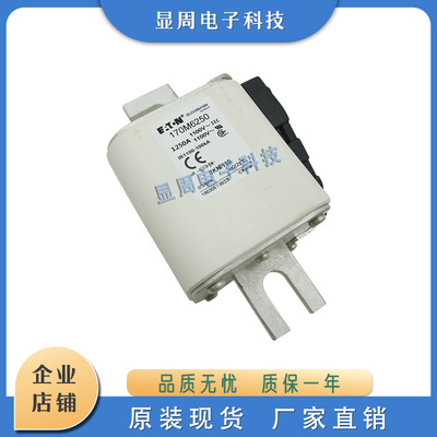 全新保险丝熔断器170M6254 170M6256 170M6258 170M6259 170M6260
