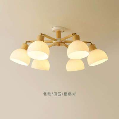 客厅灯吊灯简约现代卧室灯北欧创意实木餐厅灯日式原木风灯具套餐